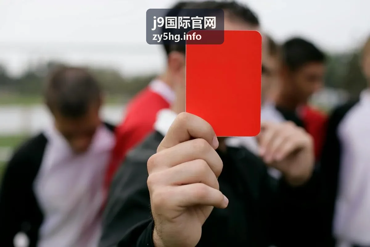 j9国际官网会员服务与专属权益